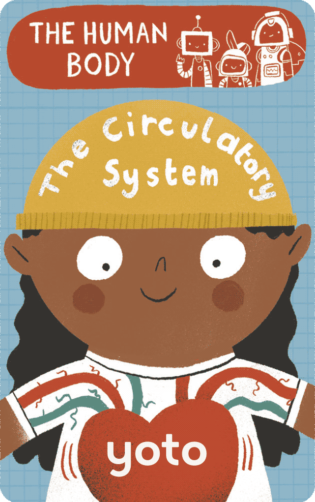 The Human Body: The Circulatory System