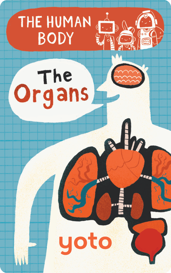 The Human Body: The Organs